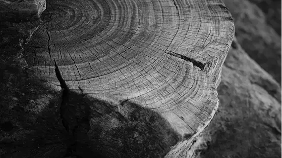 Discovery Driven By Curiosity