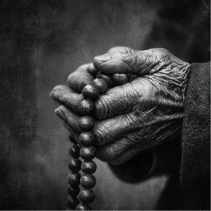 Collective Card Image 1