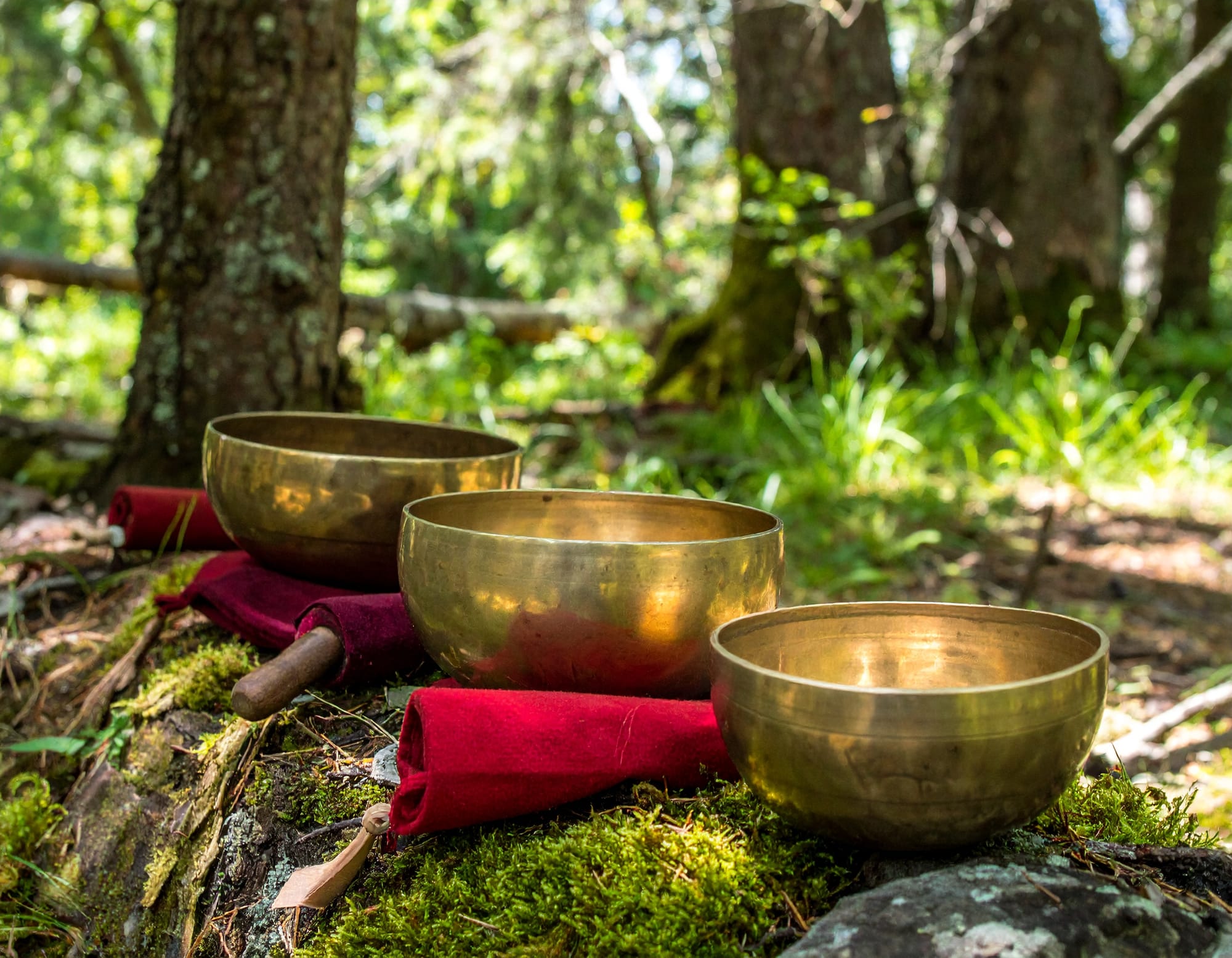 Sound Therapy for Stress Relief: Unlocking Inner Peace with Singing Bowls