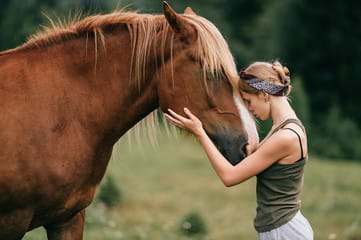 Animals